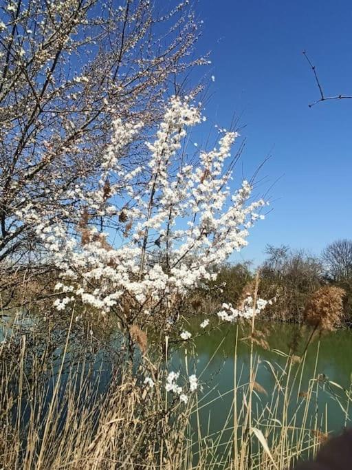 オステッラート Locazione Mimosa Con Giardinoヴィラ エクステリア 写真